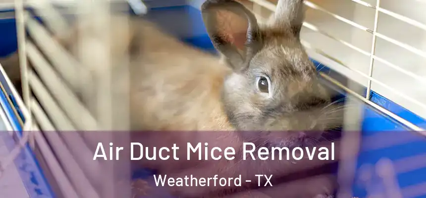  Air Duct Mice Removal Weatherford - TX