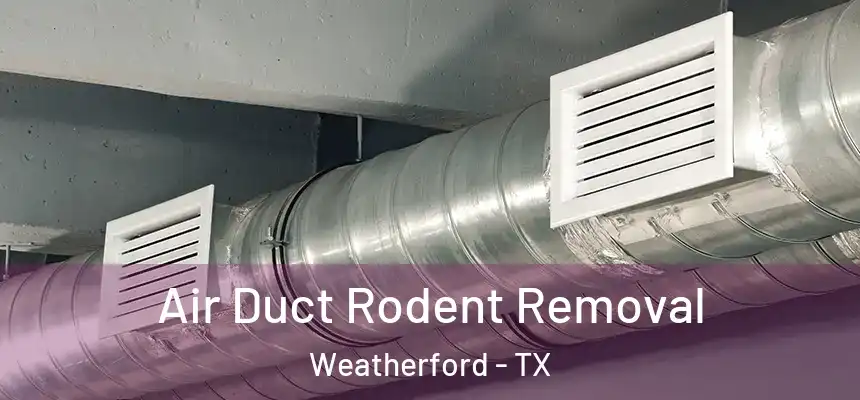  Air Duct Rodent Removal Weatherford - TX