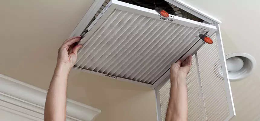 Preventive Cockroach-Proofing for Ducts in Weatherford