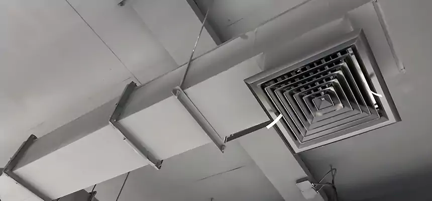 Our Rodent Droppings In Vents Services in Weatherford, TX