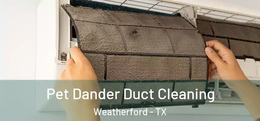 Pet Dander Duct Cleaning Weatherford - TX