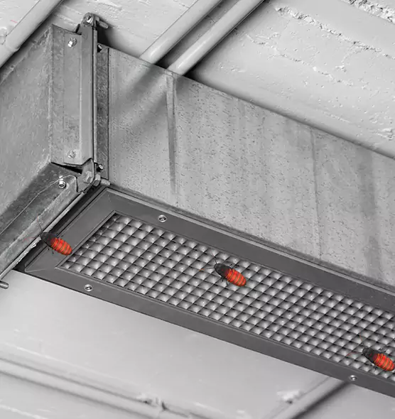 About Air Duct Cockroach Removal in Weatherford, TX