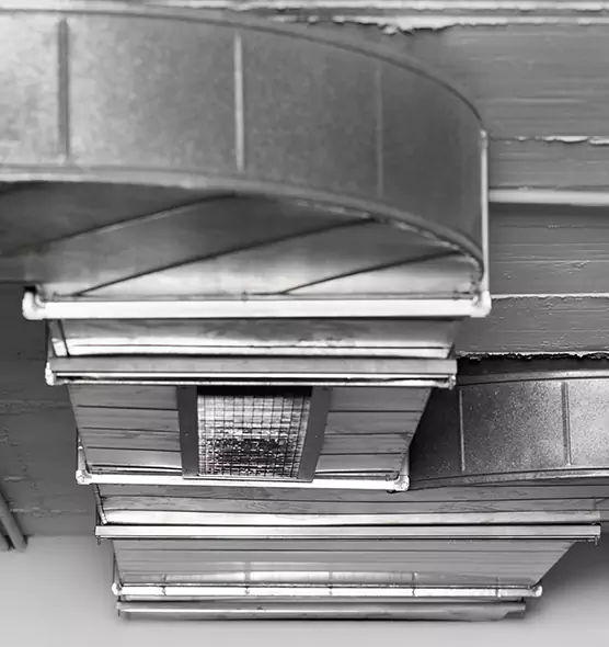 Professional Air Duct Pest Removal in Weatherford, TX